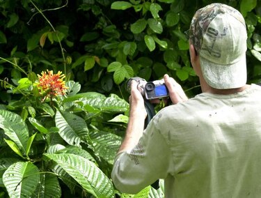 Investigan en Panamá cambio en diversidad e infecciones en humanos