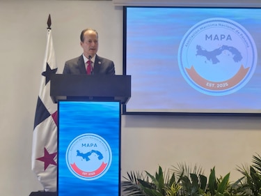 ‘Panamá debe evitar monopolios y oligopolios en el mercado marítimo’, advierte nuevo gremio de navieras