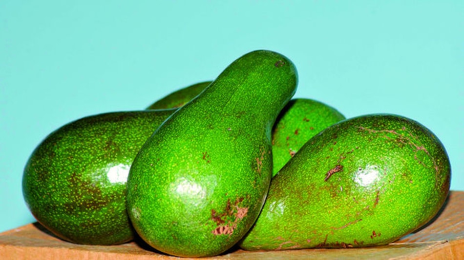 El reino del aguacate
