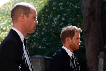 Los príncipes Guillermo y Enrique se reúnen para inaugurar estatua de su madre Diana