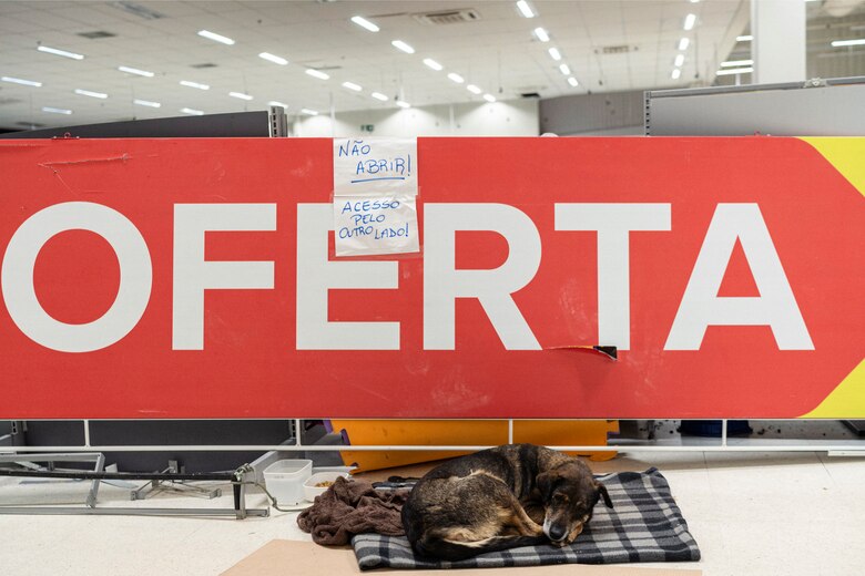 Un antiguo hipermercado se convierte en refugio de mascotas rescatadas en el sur de Brasil