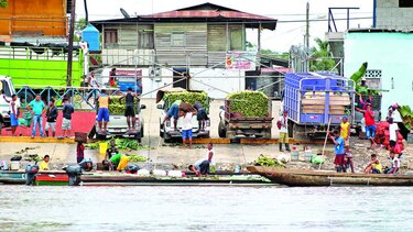 Vida que emerge del río