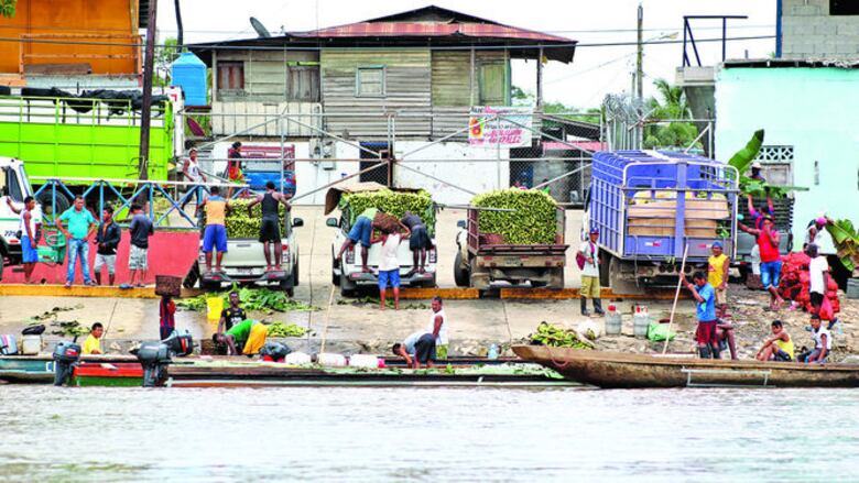 Vida que emerge del río