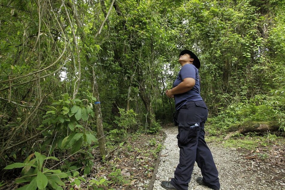 Parque Natural Metropolitano reabrirá al público el 12 de octubre