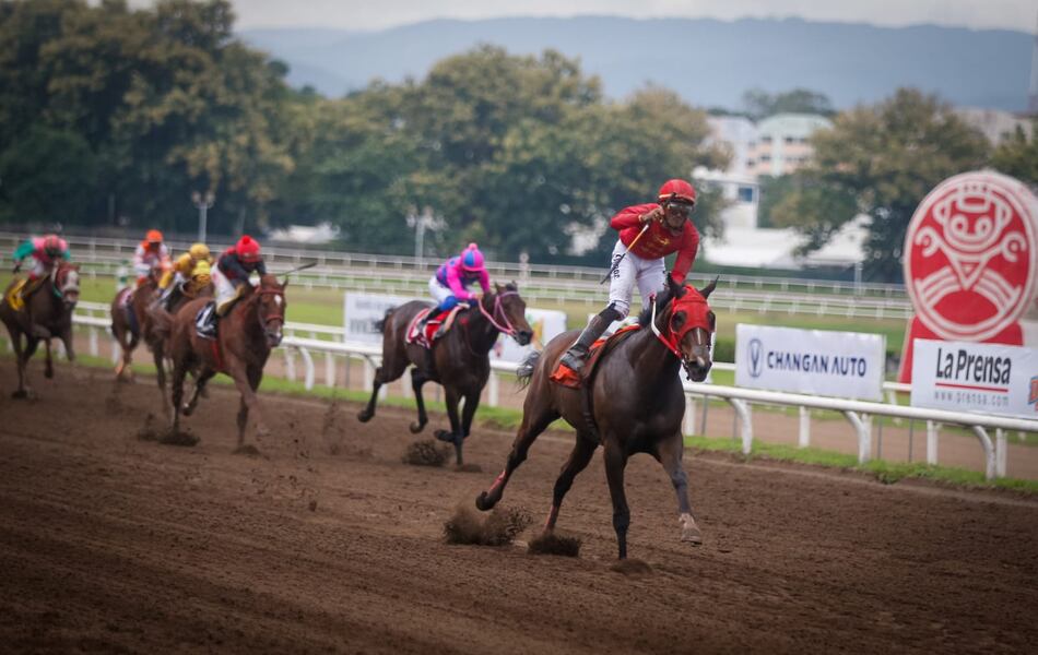 Clásico Presidente 2025: Eagle in Love busca repetir la hazaña y crece la expectativa por la presencia de Mulino
