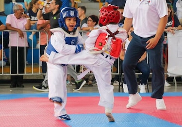 Chiriquí será sede del torneo nacional de taekwondo infantil