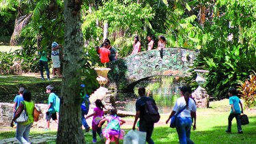 Alcaldía adjudica mejoras al Summit