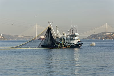 CSJ confirma legalidad del decreto ejecutivo que prohíbe la pesca de arrastre