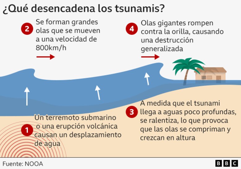 Por qué es difícil predecir el tamaño de las olas cuando se produce un tsunami como el que generó el terremoto en Rusia
