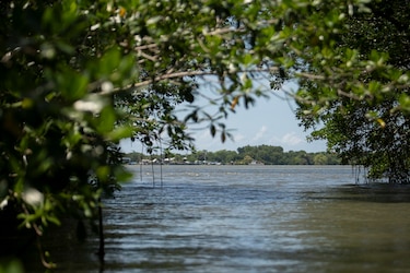 Mesoamérica busca proteger el 30 % de su territorio y mares para 2030