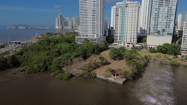 Del astillero al Coco Parque: el relato inédito del mar que San Francisco volvió a mirar