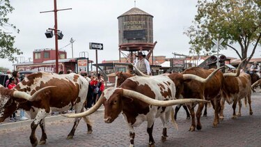 ¿Seguridad nacional o xenofobia?: Texas prohíbe comprar o alquilar propiedades a ciudadanos de China, Irán, Corea del Norte y Rusia