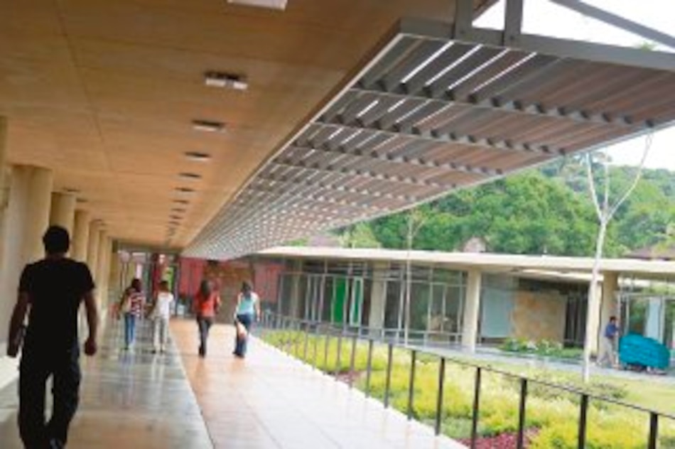 Las ventajas de pensar verde