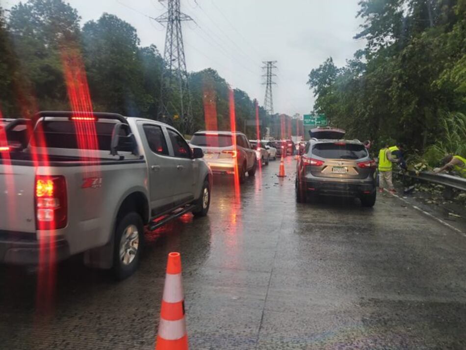Caída de árbol en el corredor Norte provoca congestionamiento vehicular