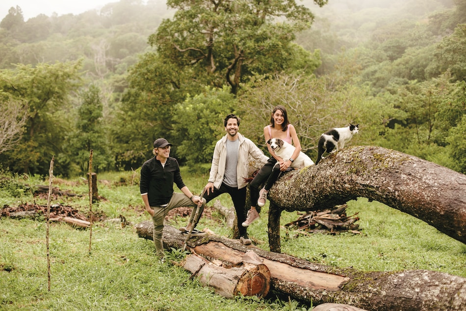 Durmiendo con el cafetal