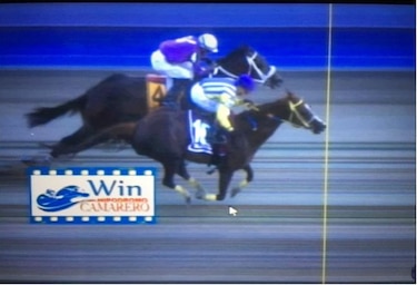 Video: El caballo panameño Salustio gana la Copa Invitacional en Puerto Rico