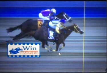 Video: El caballo panameño Salustio gana la Copa Invitacional en Puerto Rico