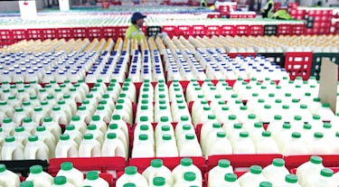 Costa Rica notifica a la OMC que Panamá bloquea entrada de productos