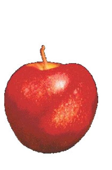 Manzana, rica y salvadora
