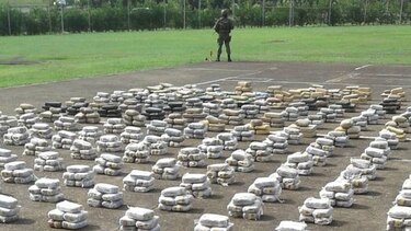 Autoridades decomisaron mil 512 paquetes de droga
