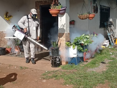 Panamá acumula 1,661 casos de dengue en lo que va del año