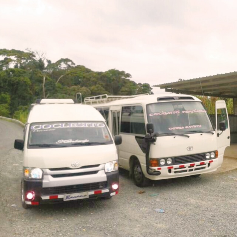 Transporte provincial, en manos de políticos