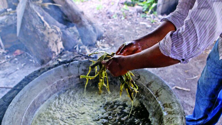 Faena detrás de la popular raspadura