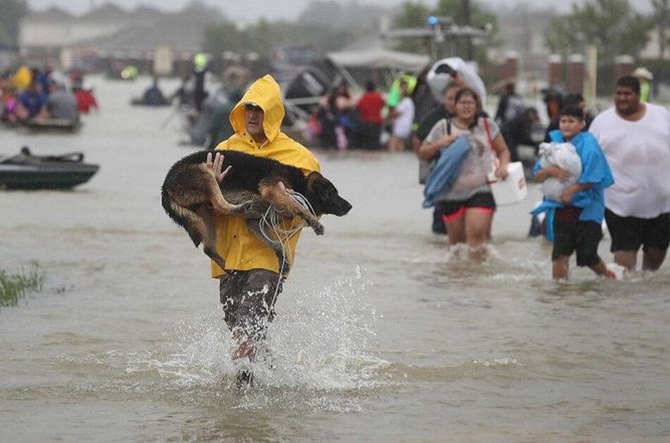 Harvey recupera un poco de fuerza y podría reingresar a Houston