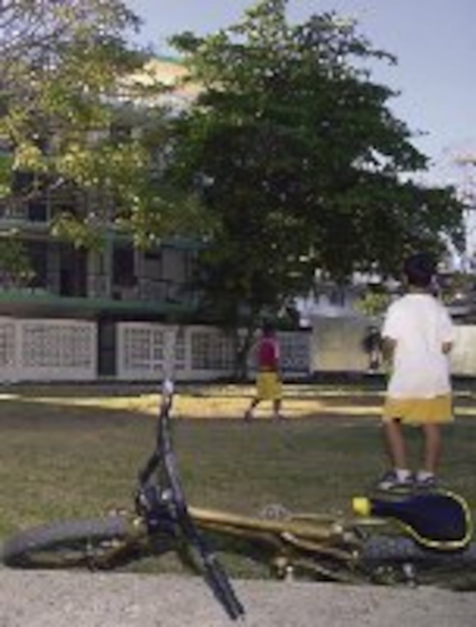 ‘Especies del parque Andrés Bello toleran la sombra’