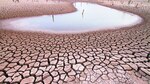 La naturaleza, en peligro