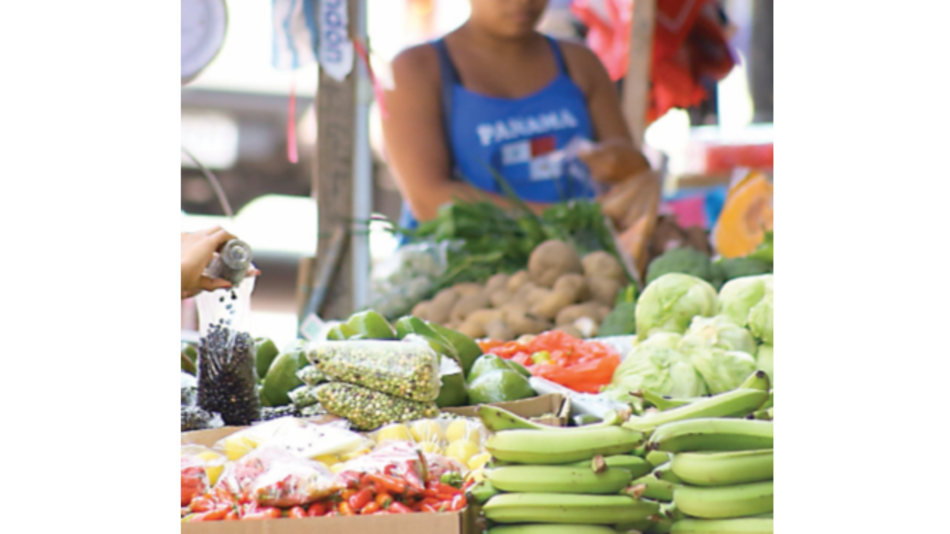 Ejecutivo deberá fijar salario mínimo