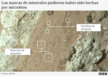 Encuentran posibles señales de vida pasada en Marte en rocas con ‘manchas de leopardo’