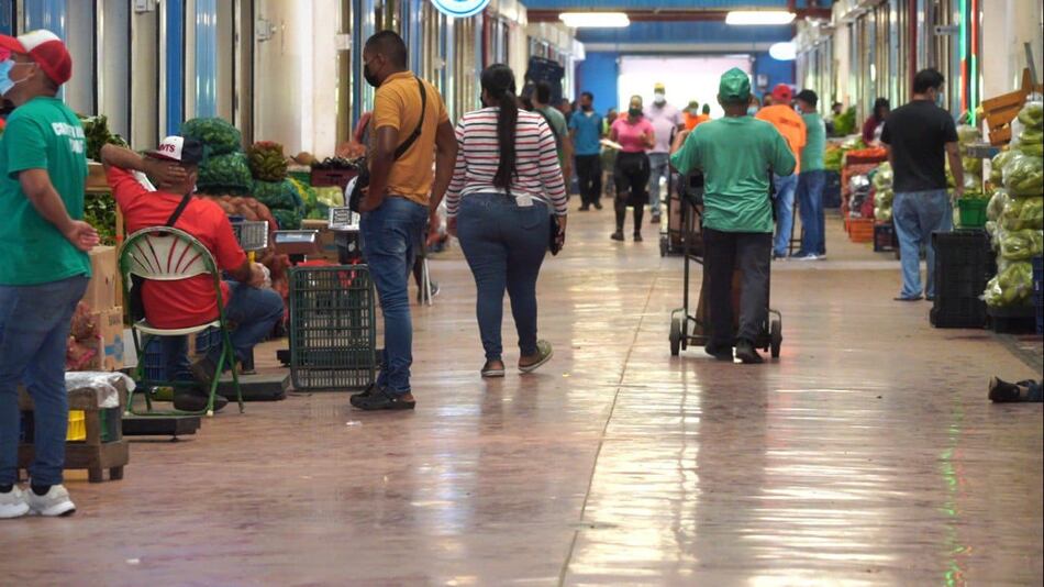 281 mil personas están sin trabajo en Panamá, según la Contraloría
