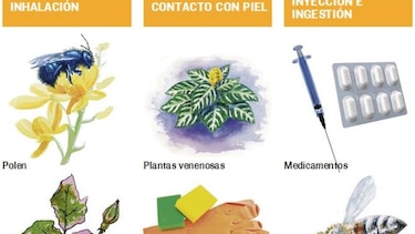 Las alergias están en apogeo