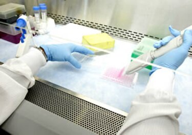 Vacuna contra el AH1N1 tardará "cuatro o cinco meses"
