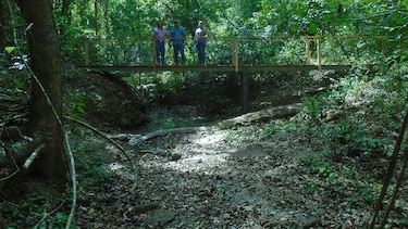 Comienza a bajar el caudal de los afluentes del bosque El Colmón