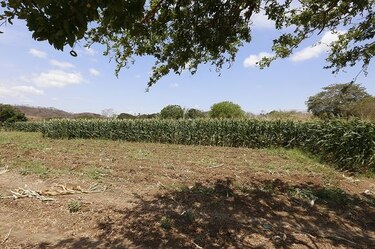 El pueblo de José Manuel Luna