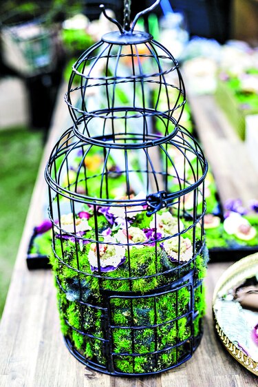 Especialidad del chef