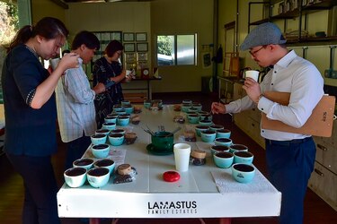 Café geisha, el exótico y carísimo lujo panameño