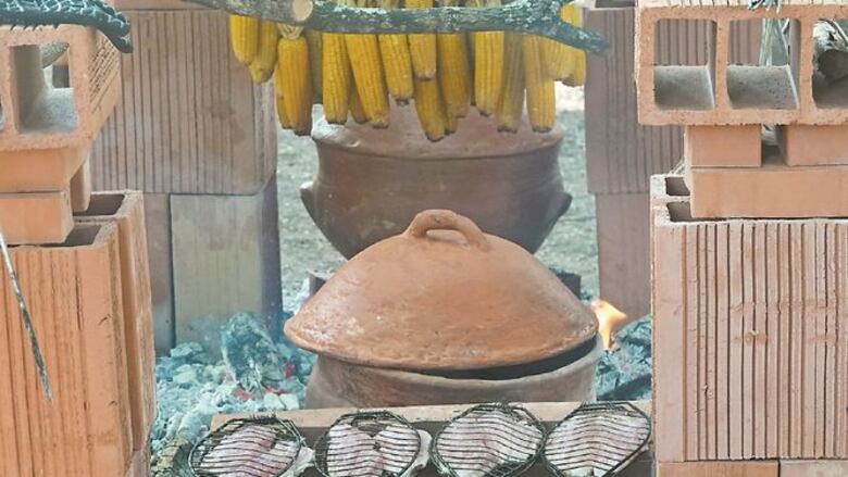 Panga Nómada en Punta Fogón