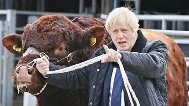 Johnson, en modo electoral pese a muro parlamentario