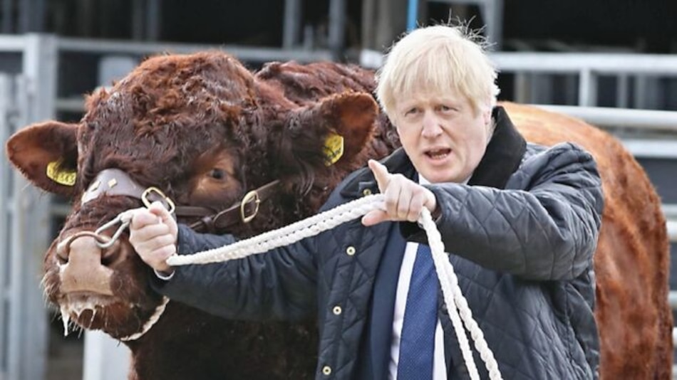 Johnson, en modo electoral pese a muro parlamentario