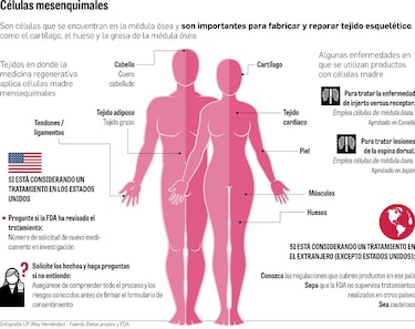 Proyecto de ley de células madre, en proceso de cambios