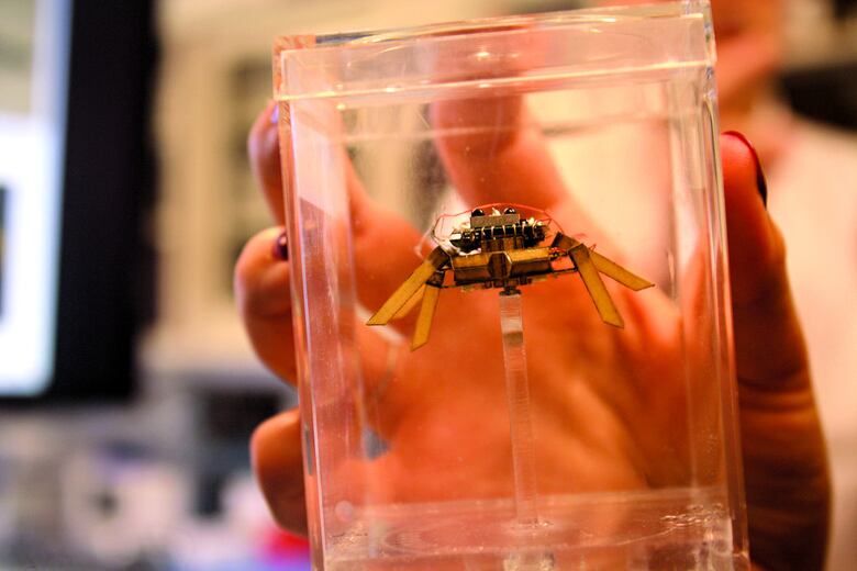 Robots inspirados en animales