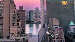 Nueva York y sus criaturas