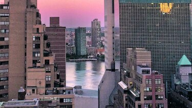 Nueva York y sus criaturas