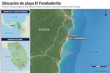 La tortuga marina más grande del mundo vuelve a anidar en Panamá