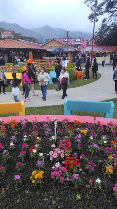 Feria de las Flores y el Café impacta en la economía regional