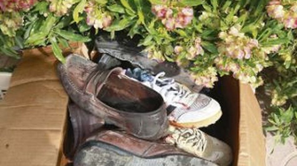 Protestas en Medio Oriente y el Magreb