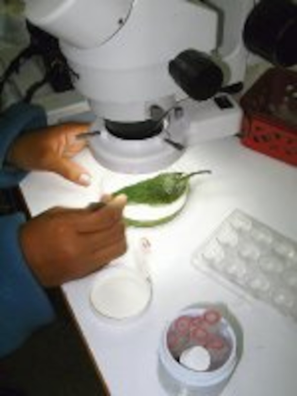 Bioindicadores de calidad